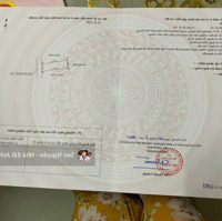 Lô Đất Hoà Nghĩa Giá Rẻ Nhất Hiện Tại
