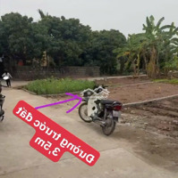 Bán Đất An Vĩ, Khoái Châu Cơ Hội Đầu Tư Sinh Lời!