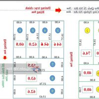 Siêu Phẩm Những Lô Đất Mới Phân Lô Diện Tích Từ 40M2 - 67M2 Tại Trại Mít, Hiền Ninh, Sóc Sơn