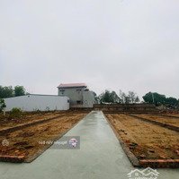 Siêu Phẩm Những Lô Đất Mới Phân Lô Diện Tích Từ 40M2 - 67M2 Tại Trại Mít, Hiền Ninh, Sóc Sơn