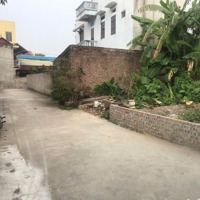 Hàng Hiếm, Ngõ 4M Ô Tô Tại Vân Trì, Đông Anh, Hn, Giá Chỉ 5X Tr/M