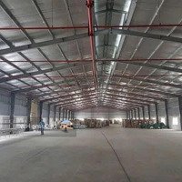 Cho Thuê Nhà Xưởng Tại Cụm Công Nghiệp, Hải Dương, Diện Tích Xưởng: 2 X 4.200 M (1 Tầng), Có Pccc