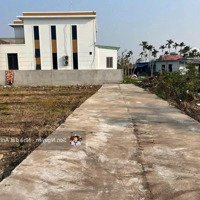 Đất Sổ Đỏ Ngõ 4M Hòa Nghĩa, Dương Kinh Gần Ủy Ban, Vinhomes