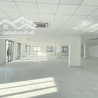 Chuyển Nhượng Tòa Nhà Nguyễn Văn Trỗi Phú Nhuận ( 12X15M- Hầm 7 Tầng) Thuê: 360 Triệu/Tháng- Giá Bán 52 Tỷ