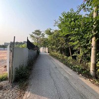 Cho Thuê Kho, Nhà Xưởng 2000M2, Giá Bán 50 Triệu, Bờ Tây Sông Nhuệ, Cổ Nhuế, Bắc Từ Liêm, Hà Nội