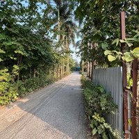 Cho Thuê Kho, Nhà Xưởng 2000M2, Giá Bán 50 Triệu, Bờ Tây Sông Nhuệ, Cổ Nhuế, Bắc Từ Liêm, Hà Nội