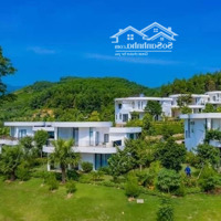 Cần Bán Gấp Trước Hè Căn Biệt Thự Ivory Hòa Bình 310M2 Mua Từ 2021, Rẻ Hơn Cđt 1,5 Tỷ Do Cần Trả Nh
