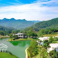 Cần Bán Gấp Trước Hè Căn Biệt Thự Ivory Hòa Bình 310M2 Mua Từ 2021, Rẻ Hơn Cđt 1,5 Tỷ Do Cần Trả Nh