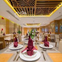 Cơ Sở Hữu Vị Trí Đắc Địa Phố Du Lịch Hà Bổng Biển Mỹ Khê. Trung Tâm Hc Quốc Tế. Gia Tăng Ts