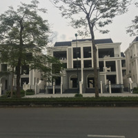 Bán Suất Ngoại Giao Biệt Thự Khu P Ciputra Hà Nội, Giá Siêu Hời 85 Tỷ, Diện Tích 300M2