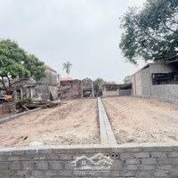 Bán Đất Tân Dân, Khoái Châu Đường Ô Bàn Cờ Thông 2 Đầu Ra Đường Nhựa Chỉ Nhỉnh 1,5 Tỷ 0888282669