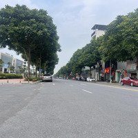 Cần Bán Biệt Thự 232M2Mặt Tiền16M Khu Đô Thị Sài Đồng Long Biên Hn Chỉ 46 Tỷ Liên Hệ: 0911643688