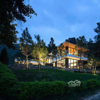 Biệt Thự Đẳng Cấp, Bim Group, Đại Lải, Vận Hành Intercontinental, Sổ Lâu Dài, Flamingo, 170Ha