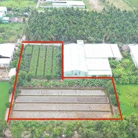 Hot, Bán 4000M2 Đất 2 Mặt Tiền Đường 177 Và 171 Xã Bình Mỹ H. Củ Chi