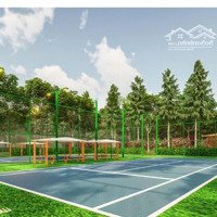 Siêu Hot Dự Án Biệt Thự Thanh Xuân Valley Giá Chỉ 10 - 15 Tỷ /1 Căn Biệt Thự Song Lập