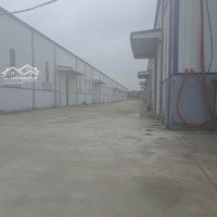 Cho Thuê 6500 M2 Kho Xưởng Giá Rẻ Tại Văn Lâm, Hưng Yên
