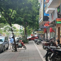 Bán Lô Đất Mặt Phố Nguyễn Văn Huyên - Cầu Giấy | 2 Mặt Tiền | 367M | Vỉa Hè Rộng | Vị Trí Kim Cương
