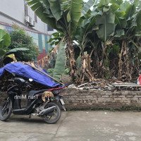 Bán Mảnh Đất Lô Góc - Thôn Xuân Canh , Xuân Canh , Đông Anh , Hà Nội. Diện Tích: 50M2 Rộng: 4.45M.