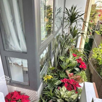 Kẹt Vốn Kinh Doanh Cần Bán Gấp Căn Phan Đăng Lưu, P6, Bình Thạnh. Giá Bán 2.38Tỷ.diện Tích44M2. Sổ Riêng