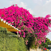 Nhà Đẹp Ở Ngay Gần Chợ Tăng Phú, Hiệp Phú, Lê Văn Việt, Thủ Đức, 86,8M2, Chỉ 4,2 Tỷ