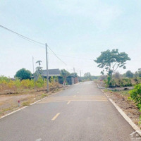 Bán Lô Đất (5X48=241,4M2) Mặt Tiền Nhựa Lớn Gần Công Nghiệp, Khu Du Lịch Dầu Tiếng Bình Dương 330 Triệu