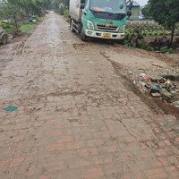 Bán Mảnh Đất Nông Nghiệp Mặt Đường Thông 656M,Mặt Tiền10M, Giá Chỉ Hơn 1 Triệu