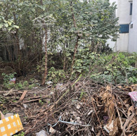 Bán Đất Đấu Giá 31 Ha Trâu Quỳ Gia Lâmdiện Tích239 M Đầu Tư, Giá 102 Tr/1M2 Kinh Doanh, Ô Tô Vỉa Hè