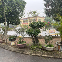 Bán Đất Đấu Giá 31 Ha Trâu Quỳ Gia Lâmdiện Tích239 M Đầu Tư, Giá 102 Tr/1M2 Kinh Doanh, Ô Tô Vỉa Hè