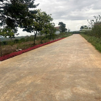Đón Đầu Năm Mới Với Lô Đất 1300M2 Trung Tâm Xã Liên Hiệp, Ngay Sân Bay Liên Khương Giá Bán 2.7 Tỷ