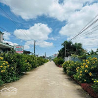 Đón Đầu Năm Mới Với Lô Đất 1300M2 Trung Tâm Xã Liên Hiệp, Ngay Sân Bay Liên Khương Giá Bán 2.7 Tỷ