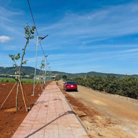 Siêu Phẩm Đất Khu Dân Cư Mới Xã Liên Hiệp,Diện Tích23X70M, Công Nhận 1641M2 Tc, Giá Chỉ 5 Tỷ