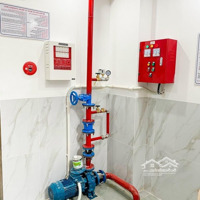 Nhà Dv, Ccmn Mỹ Đình Chỉ 15Tỷ , Dòng Tiền 800 Triệu/Năm.