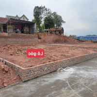 Giá Nổ Thẳng Không Vòng Vo Chỉ Có 800 Trdiện Tích100 M Nhập Khẩu Tại Hà Nội