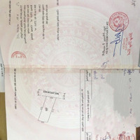 Mặt Đường Hoà Nghĩa Dương Kinh 270M Ngang 10 M - Đường Nhựa Rộng 11M