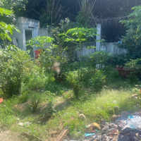 Bán Nhà Và Kho Giá Rẻ Bình Chánh 470M2 Thổ Cư