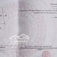 Bán Đất Thổ Cư Phú Long Giáp Phú Hài 1,3 Tỷ Mặt Đường Chính Bê Tông Khu Dân Cư