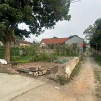 BÁN ĐẤT TẠI XÃ NAM PHƯƠNG TIẾN CHUOWGN MỸ HN 78M2 GIÁ 980TR