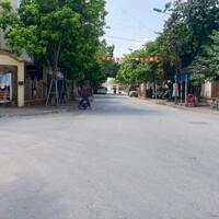 BÁN BIỆT THỰ SONG LẬP 175M2 TẠI KDT TÂN TÂY ĐÔ