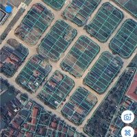 Bán Lô Đất Đấu Giá G07. Lỗ Đòng, Bòi Cóc Xã Đại Đồng , Thạch Thất 150M2Mặt Tiền8M Giá Bán 42 Triệu