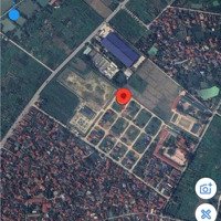 Bán Lô Đất Đấu Giá G07. Lỗ Đòng, Bòi Cóc Xã Đại Đồng , Thạch Thất 150M2Mặt Tiền8M Giá Bán 42 Triệu