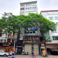 Gía Đầu Tư- Bán Đất Mp Trần Đại Nghĩa,Diện Tích140M2,Mặt Tiền6.5M, Tt Bách - Kinh - Xây, Kinh Doanh Vô Địch