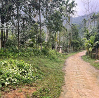 Bán Trang Trại, Khu Nghỉ Dưỡng View Đẹp Tại Xã Lỗ Sơn, Tân Lạc, Hòa Bình, 1,35 Tỷ, 1833M2 /400M Tc