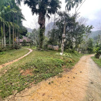 Bán Trang Trại, Khu Nghỉ Dưỡng View Đẹp Tại Xã Lỗ Sơn, Tân Lạc, Hòa Bình, 1,35 Tỷ, 1833M2 /400M Tc