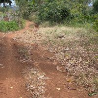 Bán Rây Phường An Lạc Cach Trung Tâm 2Km,Nước Tuoi Quanh Năm,Có Sâu Riêng Và Cp Nguôn Thu Manh