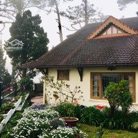 Mình Chính Chủ Ngợp Bán Lô Đất Bảo Lâm, Gần Bảo Lộc 242,2M2 Sẵn 80M2 Thổ Cư, Bán 450 Triệu