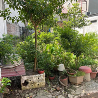 Cần Bán Lô Đất Tt Phúc Thọdiện Tích94M2 Xmặt Tiền8M. Giá 1Xtr/M2. Liên Hệ: 0936685969