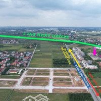 Đất Đấu Giá Bạch Đa Đối Diện Khu Đô Thị Kim Hoa