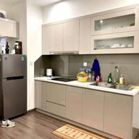 Cho thuê căn hộ  Symphony Riverside 40m2 full đồ 1pn 1wc giá 12tr