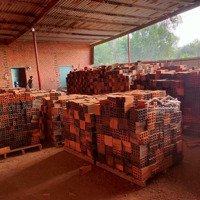 Cần Bán Nhà Máy Sản Xuất Gạch Tuynel Tại Xã Bình Thành Huyện Đức Huệ Tỉnh Long An,