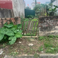 Bán Đất 142M2 Tại Đông Kinh, Đông Hưng, Thái Bình, Giá 3,8 T